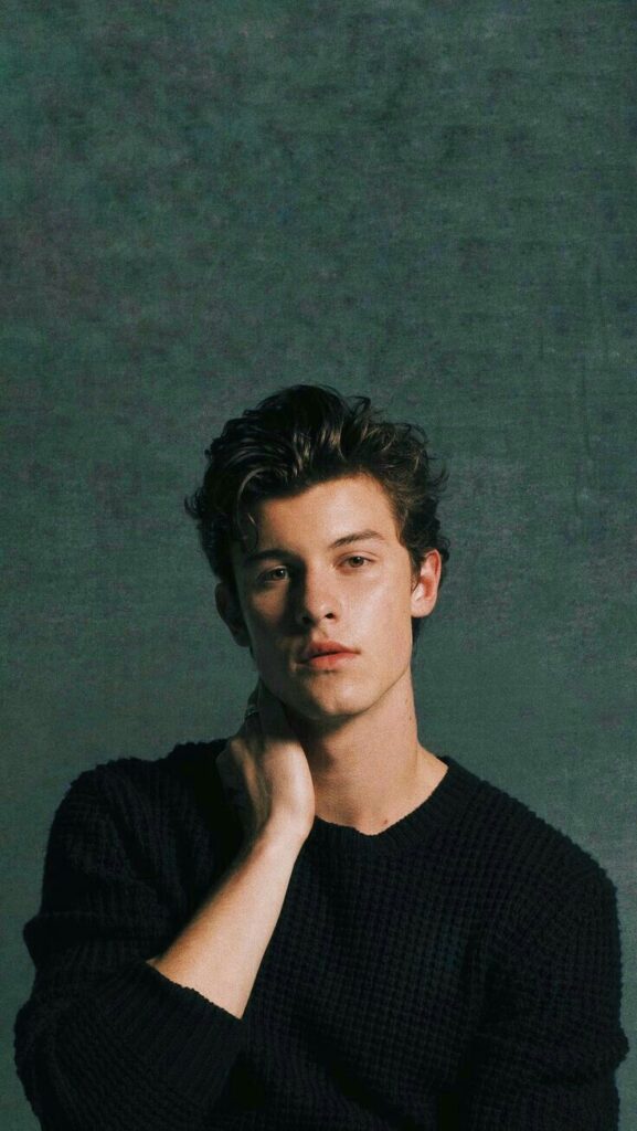 Shawn Mendes Wiki, Bio, Family, Career, Awards, Net worth, Girlfriend and Facts 