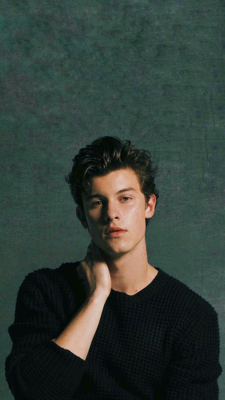Shawn Mendes Wiki, Bio, Family, Education, Career, Awards, Net worth, Girlfriend, Social Life, Philanthropy and Facts 