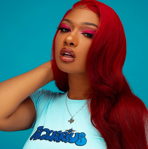 Megan Thee Stallion Wiki, Bio, Age, Net Worth, Career, and Success Story